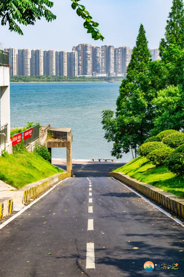 点击放大图片
